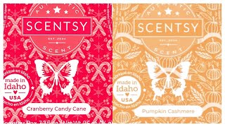 Tester Tuesday Cranberry Candy Cane and Pumpkin Cashmere Scentsy Reviews  211 [upl. by Lippold993]