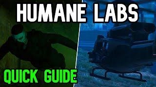 Gta 5 Humane Labs Raid Heist Guide [upl. by Nyleda]