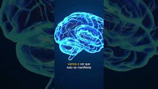 Envejecimiento y cómo afecta al cerebro Mecanismos que pueden ralentizarlo [upl. by Nicolis]