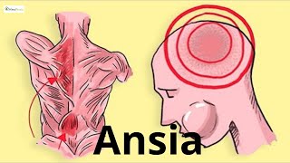 🔧 4 strumenti per superare lansia [upl. by Chance]