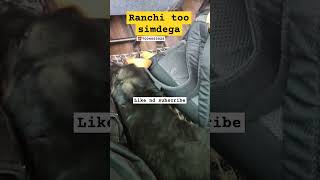 Ranchi too simdega GSD puppy shortvideo garmanshepherd ranchi youtubeshorts [upl. by Ciri]