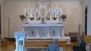 Sunday Morning Catholic Mass for November 17 2024 830 AM Mass [upl. by Marler169]