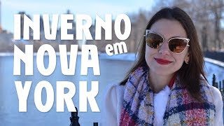 O que dá e o que não dá para fazer no inverno em Nova York [upl. by Earvin373]