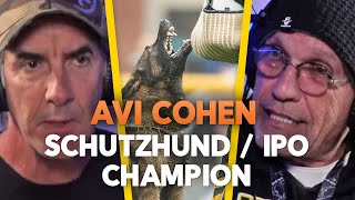 Avi Cohen Schutzhund IPO Champion  Training and Competing in IPO  EP75 [upl. by Eannyl]