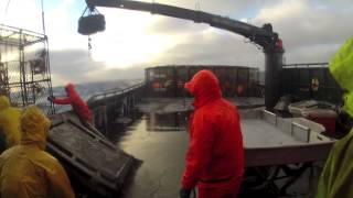 Bering Sea Opilio Crab Fishing [upl. by Renner446]