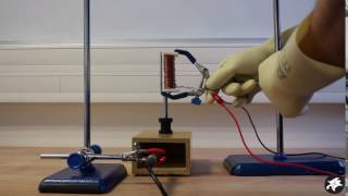 Magnetic Noise Experiment with a Tuning Fork Constant Frequency [upl. by Lissy]