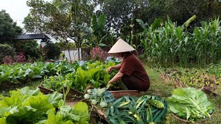 How I preserve a variety of vegetables without losing their freshness and cooking flavor [upl. by Nave]