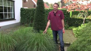 Siergras Pennisetum  twishgardennl [upl. by Johiah]