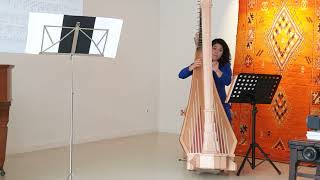 Anneleen Lenaerts plays Song to the Moon from Rusalka [upl. by Loring]