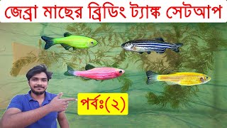 সহজভাবে জেব্রা মাছের ব্রিডিং ট্যাঙ্ক সেটআপপর্বঃ২। Zebra Fish Breeding Tank Setup Part2 [upl. by Ricardama]