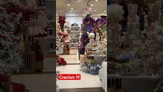 Sarbatoarea craciunului se simte deja peste tot  vlog christmas craciun [upl. by Erotavlas]