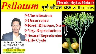 Psilotum life cycle morphology anatomy reproduction bscbotany pteridophytes 1stsemesterexam [upl. by Ahsakal840]