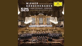 Bruckner Virga Jesse WAB 52 Live [upl. by Adlesirg]