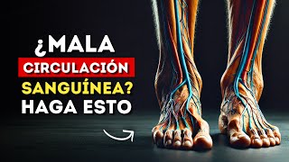 Top 9 Ejercicios para Mejorar INSTANTANEAMENTE la Circulación de las Piernas para personas mayores [upl. by Ahsiekar402]