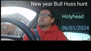 Holyhead  Anglessey  UK Sea fishing Bull Huss fishing [upl. by Yarezed177]