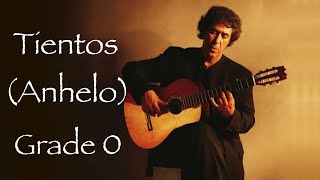 Tientos Anhelo Juan Martín  Grade 0 Flamenco Guitar Cover [upl. by Lessirg]