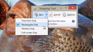 Snipping Tool Windows 8 [upl. by Viviana304]