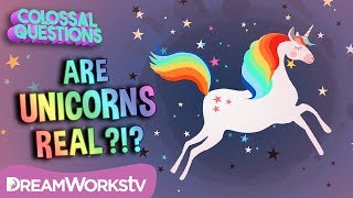 Did UNICORNS Ever Exist  COLOSSAL QUESTIONS [upl. by Gerger]