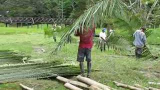 Thatched palm roof  Macedonia Amazonas Colombia [upl. by Gould]