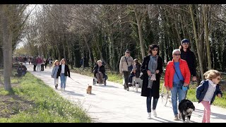 Bois des noyers  lagglo se met au vert [upl. by Alemac569]