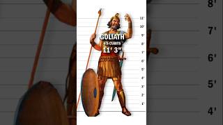 Was Goliath really tall youtubeshorts shorts shortvideo [upl. by Vaasta]