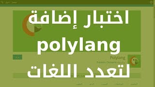 اختبار إضافة POLYLANG لموقع ووردبريس متعدد اللغات [upl. by Irbua]