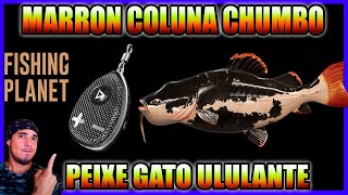 MARRON COLUNA CHUMBO PEIXE GATO ULULANTE FISHING PLANET [upl. by Monah]