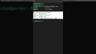 nslookup Komutu  Temel Linux Komutları pardus linux [upl. by Naamann]