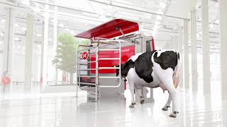 Lely robot di mungitura Astronaut A5 [upl. by Sion]