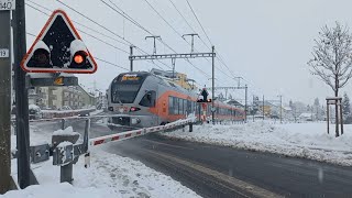 Bahnübergang Samstagern CH  Swiss Railroad Crossing [upl. by Selrhc434]