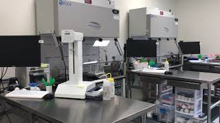 Sterile and nonsterile compounding lab tour [upl. by Konstanze]