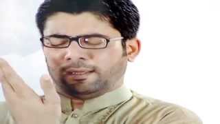 Hai IshqeMuhammadSAWW  Mir Hasan Mir A BEST Naat 2012 [upl. by Eniahs]