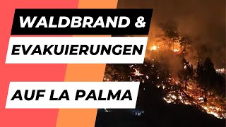 Waldbrand auf La Palma  News 13112024 [upl. by Lundquist]