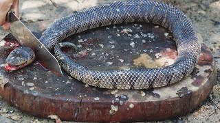 Giant Snake Soup  Delicious Big Python Boil For Food  Wilderness Food [upl. by Ecilegna]