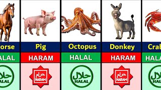 Halal and Haram Animal Meat in Islam [upl. by Lesser]