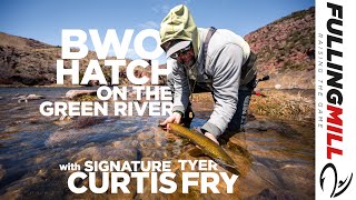 Fishing a Baetis BWO Hatch on the Green River With Signature Tyer Curtis Fry [upl. by Leunas]