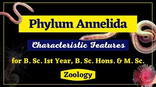 Phylum Annelida II General Characteristics II Zoology II B Sc Ist year B Sc Hons M Sc [upl. by Ainot]