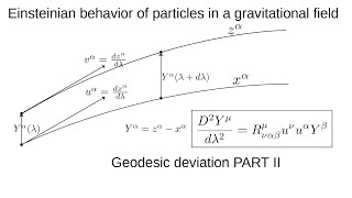 Einsteinian behavior of particles in a gravitational field Part II [upl. by Naivad]