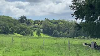 Bellingen NSW [upl. by Attenauqa]