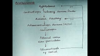 Corticosteroids drugs steroids hormones pharmacology [upl. by Itsim]