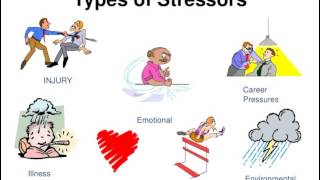 Types of stressors [upl. by Conyers]