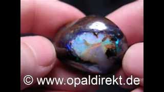 KoroitNut KoroitNuss Opal 001169 s [upl. by Hachmin]