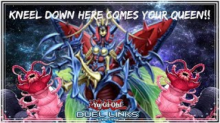 Metamorphosed Insect Queen l Kneel Down Here Comes Your Queen YuGiOh Duel Links [upl. by Cinemod]