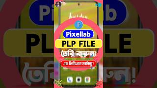 Plp File তৈরি করুন  Plp File Create  plpfilecreate pixellab mdyeasirarafat short shorts [upl. by Anitneuq588]