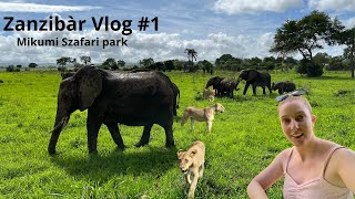 Zanzibàr Vlog 1  Mikumi szafari park làtogatàs  I Ritanizer [upl. by Mada]