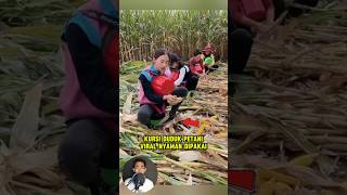 Bisa dicoba nih kursi duduk petani viral nyaman dipakai shorts tips farm berkebun [upl. by Nylaehs]