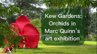 Orchids Kew Gardens Marc Quinn’s exhibition 04062024 [upl. by Damour]