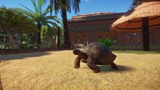 🐢Aldabra Giant Tortoise Habitat  Ariandia Zoo  Planet Zoo  speedbuild🌵 [upl. by Prebo]