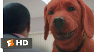 Clifford the Big Red Dog 2021  At the Vet Scene 410  Movieclips [upl. by Parnell]