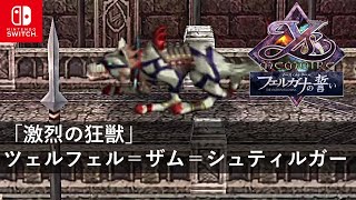 【イース・メモワール フェルガナの誓い】ボス戦 ツェルフェル＝ザム＝シュティルガー バレスタイン城 ストーリー攻略 難易度HARD【Nintendo Switch】 [upl. by Akiemehs427]